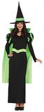 FIESTAS GUIRCA Groen heksenkostuum, lange zwarte jurk met cape en heksenhoed, Halloween-kostuum voor dames, maat 36-38 S