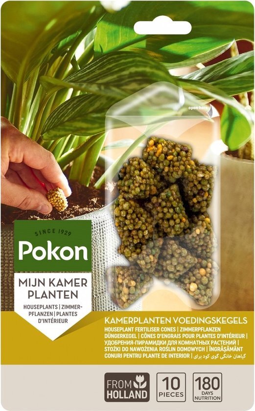 Pokon Kamerplanten Voedingskegels, 10 stuks