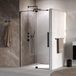 Brauer Stellar - Nisdeur - 2-Delig - Draaiend - Helder Glas - 100 x 200 cm - Omkeerbaar - incl. Glascoating - Mat Zwart