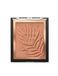 Wet n'Wild Color Icon E740A