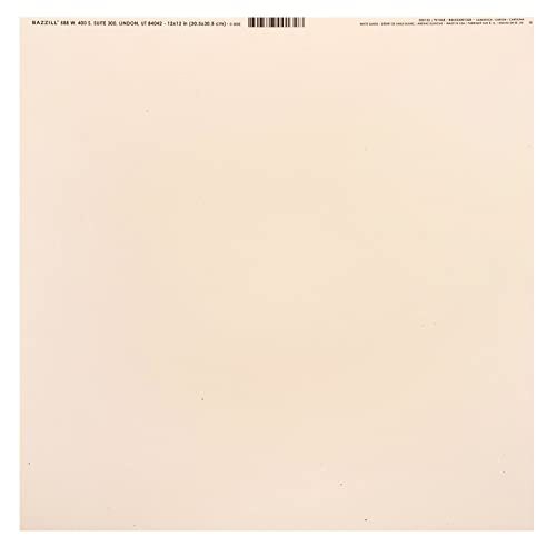 Bazzill Speckle Cardstock 12" X12"-White Sands