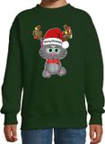 Bellatio Decorations Kersttrui/sweater voor jongens/meisjes - Merry Christmas - groen - Kerst poesje 110/116