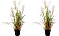 Mica Decorations Groen/bruine riet gras/pluimgras kunstplant 53 cm Siergras in zwarte plastic pot - 2x