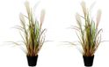 Mica Decorations Groen/bruine riet gras/pluimgras kunstplant 53 cm Siergras in zwarte plastic pot - 2x