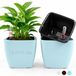 Pot d'arrosage automatique avec système d'irrigation 2 pièces