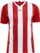 Craft Progress Stripe Shirt Korte Mouw Dames - Rood / Wit | Maat: S