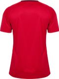 Hummel Sportshirt Hmlmatch Triumph Jersey S/S