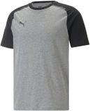 Puma Team Cup Casuals T-shirt Hommes - Gris