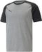 Puma Team Cup Casuals T-shirt Hommes - Gris