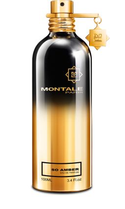 Montale So Amber / 100 / Unisex