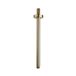 Wiesbaden Luxe Douchearm Rond Plafonduitloop 30cm Geborsteld Messing