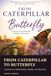 From Caterpillar to Butterfly: A Journey of Transformation, Healing, and Becoming