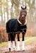H&B Polar 400 Dutch Crown Showdeken - maat 130/175 - black