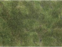 NOCH 07251 Bodembedekker Landschap bouw Olijf-groen