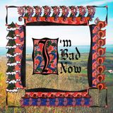 Bertus Distributie Nap Eyes - I'm Bad Now (LP)