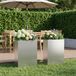Maison Exclusive - Lot de 2 pots de jardin, argenté, 50 x 20 x 75 cm