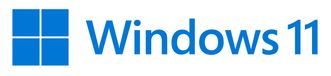 Microsoft Windows 11 Home - 1 License - USB Flash Drive