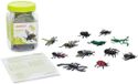 Miniland Dieren Insecten 12 Eenheden Veelkleurig Kinderen