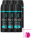 Axe Bodyspray Apollo 150 ml - 6 pièces