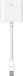 Apple Mini DisplayPort to DVI Adapter