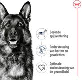 Royal Canin - Alimentation Chien Sec Maxi Adulte - 4 x 4 kg