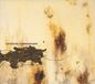 Downward Nine Inch Nails The Downward Spiral Special Edition CD