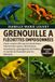 Grenouille À Fléchettes Empoisonnées