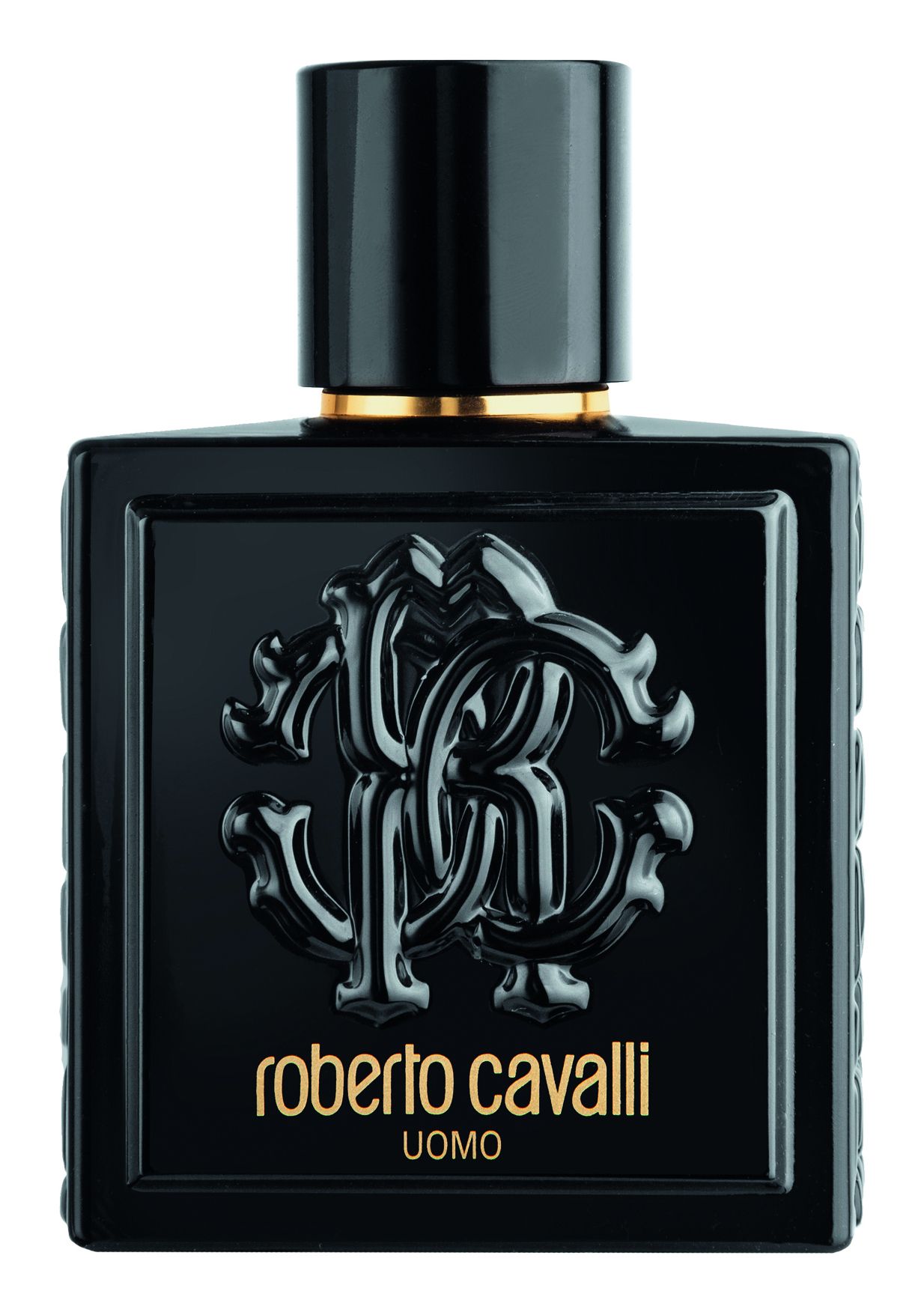 ROBERTO CAVALLI UOMO / 100 (ml) / Mannen