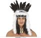Guirca Indian Chief Hoofdtooi Pluim Veren Multikleur