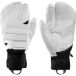 Zanier Skihandschoenen Revolution STX