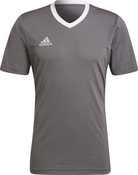 adidas Performance Entrada 22 Voetbalshirt - Heren - Grijs - 2XL