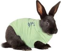 Medical Pet Shirt Konijn - XS - Groen