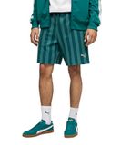 PUMA Class short voor heren, 20 cm XXL, Emerald Ice Green