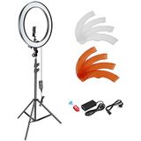 NEEWER 18 inch SMD led-ringlamp, dimbare verlichtingsset met 78,7 inch lichtstandaard filter en flitsschoenadapter voor studio led-verlichting voor portretten, YouTube, TikTok, video-opnames