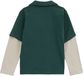 WE Fashion Jongens overhemd - Groen - Katoen - Maat 98/104