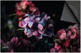 Dietrix Inductie Beschermer - 77x51 cm - Bloemen en Planten - Hortensia