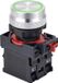 TRU COMPONENTS TC-10091044 ONPOW26-11E/G/12V Drukschakelaar 250 V 5 A 1x aan/(aan) Moment Groen IP40 1 stuk(s)