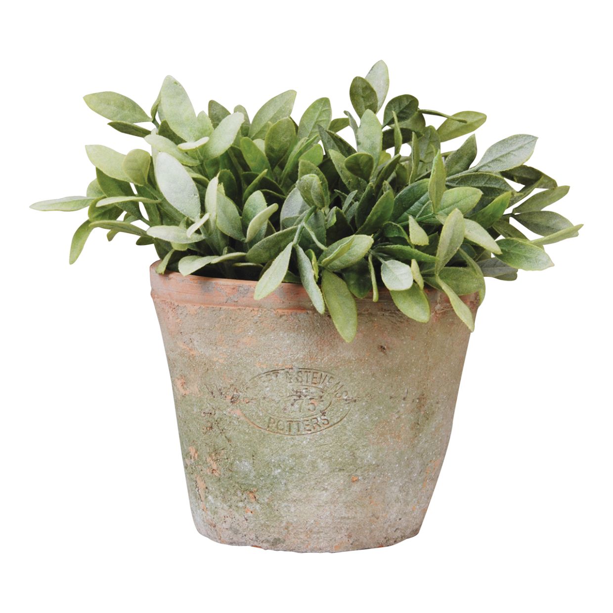 Esschert Design AT03 Aged Terracotta Pot - 16cm - Brown