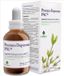 Erlingen Precisium 907 60 Comp You Gui Wan
