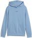 Puma Junior Hoodie Ess Small No.1 Logo