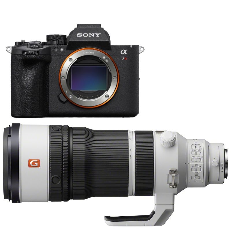Sony A7R VI + FE 100-400mm F/4.5 GM OSS