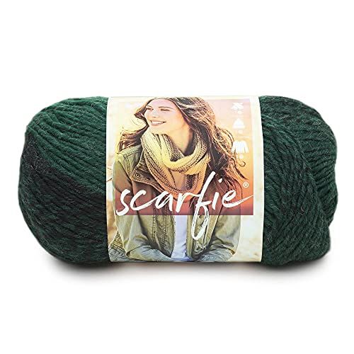 Lion Brand Yarn Scarfie - Bos/Zwart