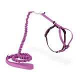 PetSafe Come with Me Kitty tuigje en bungee-lijn, harnas voor katten, klein, dusty Rose/bordeauxrood