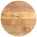VidaXL Plateau rond ø 50x3,8 cm massif bois de manguier brut