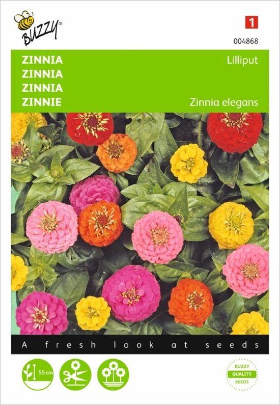 Buzzy Zinnia Lilliput mix - Zinnia elegans