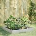 vidaXL Jardinière surélevée 100x100x26 cm acier inoxydable