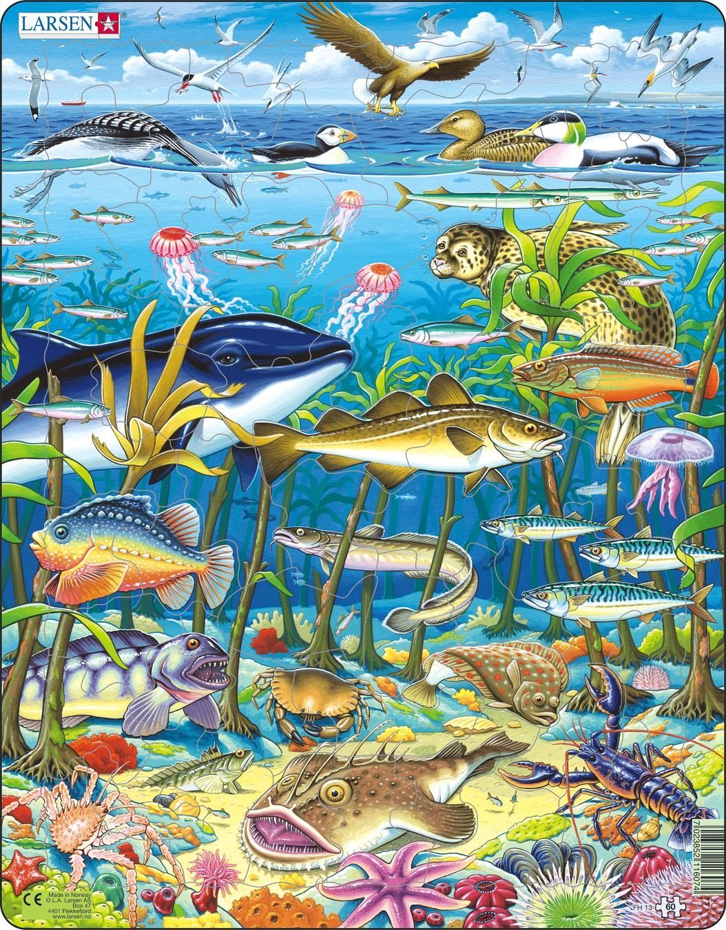 Larsen Maxi Dieren Zeedieren in de Noord-Atlantische Oceaan Puzzel - 60 stukjes - 3+ jaar