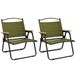 VidaXL Tuinstoel Terras Oxford, Staal, Groen, 2 stuks