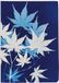 Clairefontaine 83503C - Notitieboek met Genaaide Rug met Floraal/Cyanotype Illustratie - A6 10,5x14,8 cm - 64 Gelinieerde Pagina's Wit Papier 90g - Cyanotype Collectie - 4 designs willekeurig