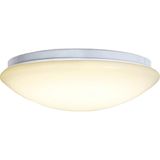 Levitantes Verlichting, Afbeelding